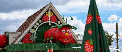 Bibi & Tina Freizeitpark in Brandenburg öffnet 2027