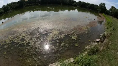 Blaualgen und Phosphor: Warnungen an Badeseen in Niedersachsen und Bremen