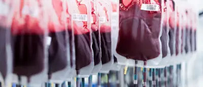 Blutspenden: DRK warnt vor Engpässen und ruft zum Spenden auf