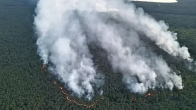 Brand im Müritz-Nationalpark außer Kontrolle: 269 Hektar in Flammen