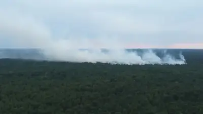 Brand im Müritz-Nationalpark weitet sich auf 155.000 Quadratmeter aus