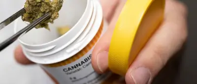 Cannabis-Teil-Legalisierung: Mehr Krankenhausfälle durch Vergiftungen und Psychosen