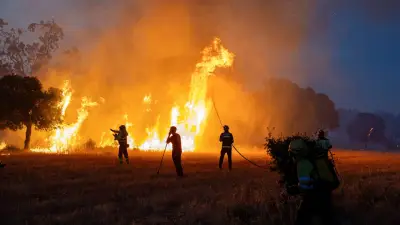 Deutsche Feuerwehr-Helden: 56 Kameraden nach Spanien zur Waldbrandbekämpfung