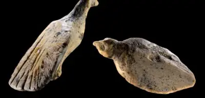 Eiszeitliche Vogelfiguren auf der Schwäbischen Alb entdeckt