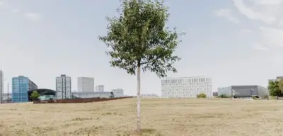 Emissionshandel: Union verrät soziale Marktwirtschaft, sagt Kolumnist