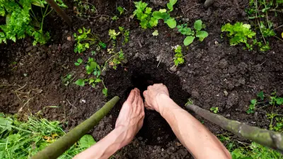 Erdkühlschrank im Garten: So funktioniert die natürliche Kühlung