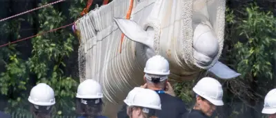 Erste Beluga-Wale verlassen geschlossenen Tierpark Marineland in Kanada