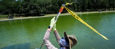 Ex-Olympionike droht zehn Jahre Haft wegen Beschädigung von Trumps Reflecting Pool