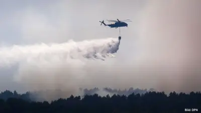 Extremwetter in Deutschland: Unwetter im Süden, Waldbrand im Norden