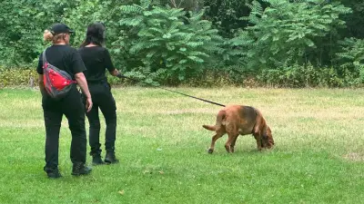 Fahndung nach CSD-Attentäter Abdul Ballout: Polizei setzt Spürhunde und Drohnen ein