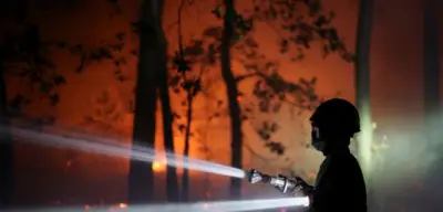 Feuer von Fontainebleau: Was wir verlieren, wenn die Erde brennt