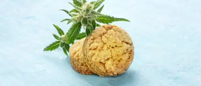Fünf Berliner nach Cannabis-Keksen in Klinik – keine Lebensgefahr