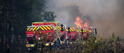 Frankreich: Neue Hitzewelle droht – Großbrände bei Bordeaux außer Kontrolle
