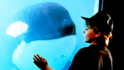 „Free Willy“-Neuauflage: Hollywood-Comeback mit Russo-Brüdern