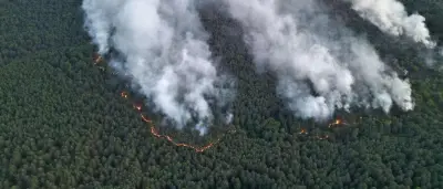 Großbrand im Müritz-Nationalpark: Betroffene Fläche auf über 200 Hektar ausgeweitet
