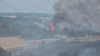 Großer Waldbrand bei Birkenfeld: Panzer der Bundeswehr im Einsatz