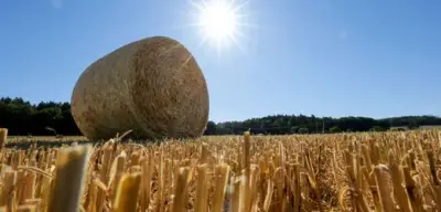 Hitzewelle in Deutschland: Temperaturen bis 35 Grad erwartet