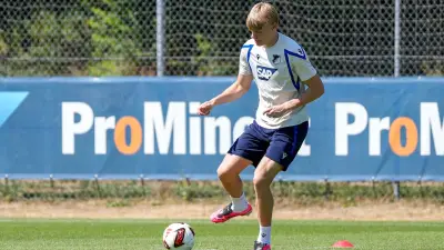 Hoffenheim-Star schwärmt von Neuzugang: „Er ist ein Top-Spieler“