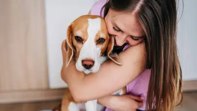 Hundetrainer: Diese Fehler machen Halter oft – und was besser ist