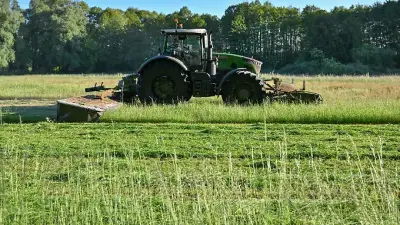 KI-Foto-App soll Bauern in MV bei EU-Förderanträgen entlasten