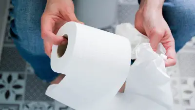 Klopapier-Verbot in Europa: Diese Länder verbieten das Herunterspülen
