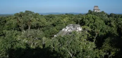 Maya-Astronom „Weißbrustfuchs“: Name in Ruinen entschlüsselt