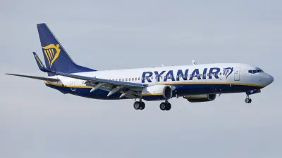 Mückenschwarm legt Ryanair-Flug in Mailand lahm – drei Stunden Verspätung