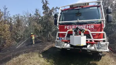 Mehrere Feldbrände in Sachsen-Anhalt: Hitze hält an, Gefahr bleibt hoch