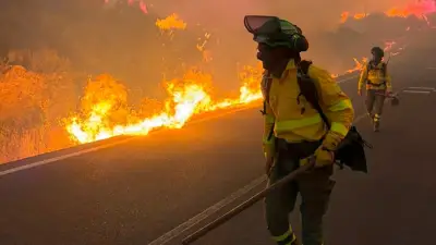 Mindestens 11 Tote bei Waldbrand in Andalusien: Autos wurden zur Todesfalle