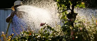 München verbietet Poolbefüllung und Rasenbewässerung wegen Wasserknappheit
