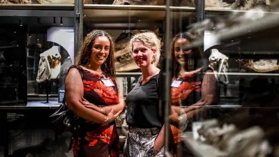 Museum für Naturkunde: Mit Schädeln und Hörnern die Welt besser verstehen