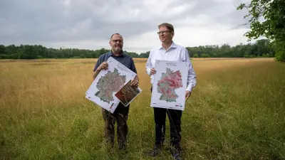 Nabu-Index: Grünflächen-Verlust lässt Städte stärker aufheizen
