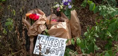 Nach CSD-Angriff: Forscher warnt vor AfD-Profiteuren
