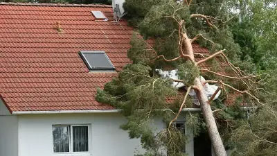 Nach Sturm Haus prüfen: So vermeiden Sie teure Folgeschäden