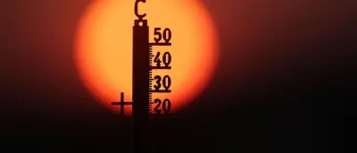 Neue Hitzerekorde: 40-Grad-Marke an mehreren Orten in Deutschland geknackt