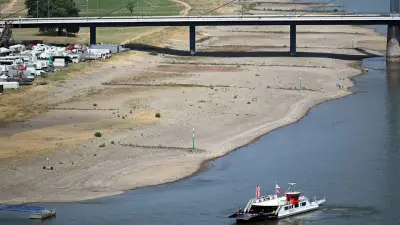 Niedrigster Rheinpegel seit 500 Jahren: Wirtschaft und Schifffahrt leiden