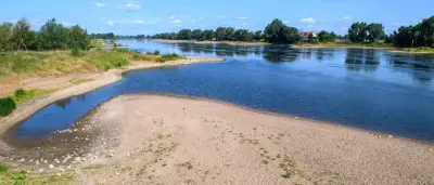 Niedrigwasser in deutschen Flüssen: Schifffahrt mit steigenden Kosten