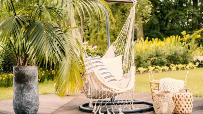 Palmen für Zuhause: Die besten Arten für drinnen und draußen