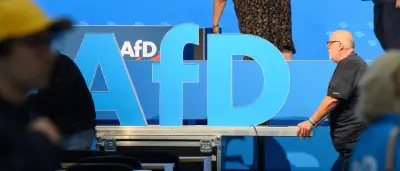 Pistorius warnt vor AfD-Regierungsbeteiligung: Geheimschutz gefährdet