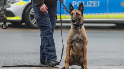 Polizeihund Bruce (4) entlaufen und von Zug erfasst – trauriges Ende