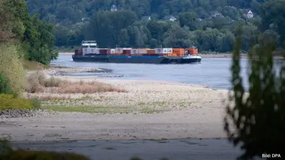 Rhein-Niedrigwasser: Kooths warnt vor Dämpfung des BIP um 0,2 Prozent
