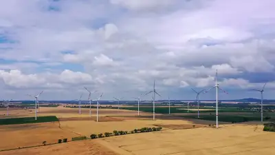 Sachsen belegt vorletzten Platz bei Windrädern unter Flächenländern