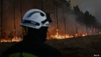 Südwesteuropa: Hunderttausende vor Waldbränden evakuiert
