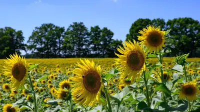 Sommer in Berlin und Brandenburg: Bis zu 29 Grad am Samstag im Havelland