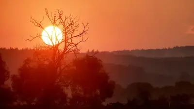Sommer kehrt zurück: Sonne vertreibt Gewitter im Südwesten