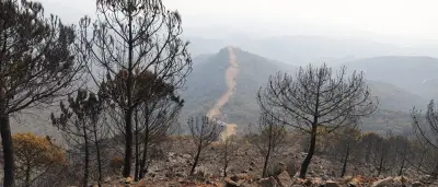 Spanien: Zwölf Tote bei Waldbrand in Andalusien – Beispiellose Tragödie