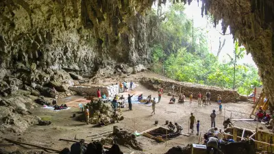 Studie: „Hobbits“ von Flores waren wohl keine Jäger