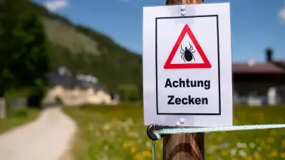 Thüringen: Mehr Borreliose-Fälle als im Vorjahr gemeldet