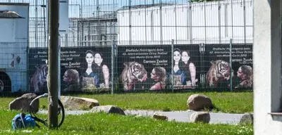 Tigeropfer in Sachsen: 72-Jähriger stirbt zwei Monate nach Angriff