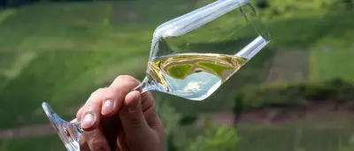 Trend zu trockenen Weinen in Deutschland hält weiter an